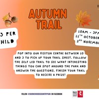 Autumn Trail Sw