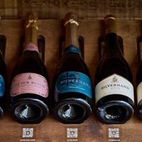 Guided Tasting