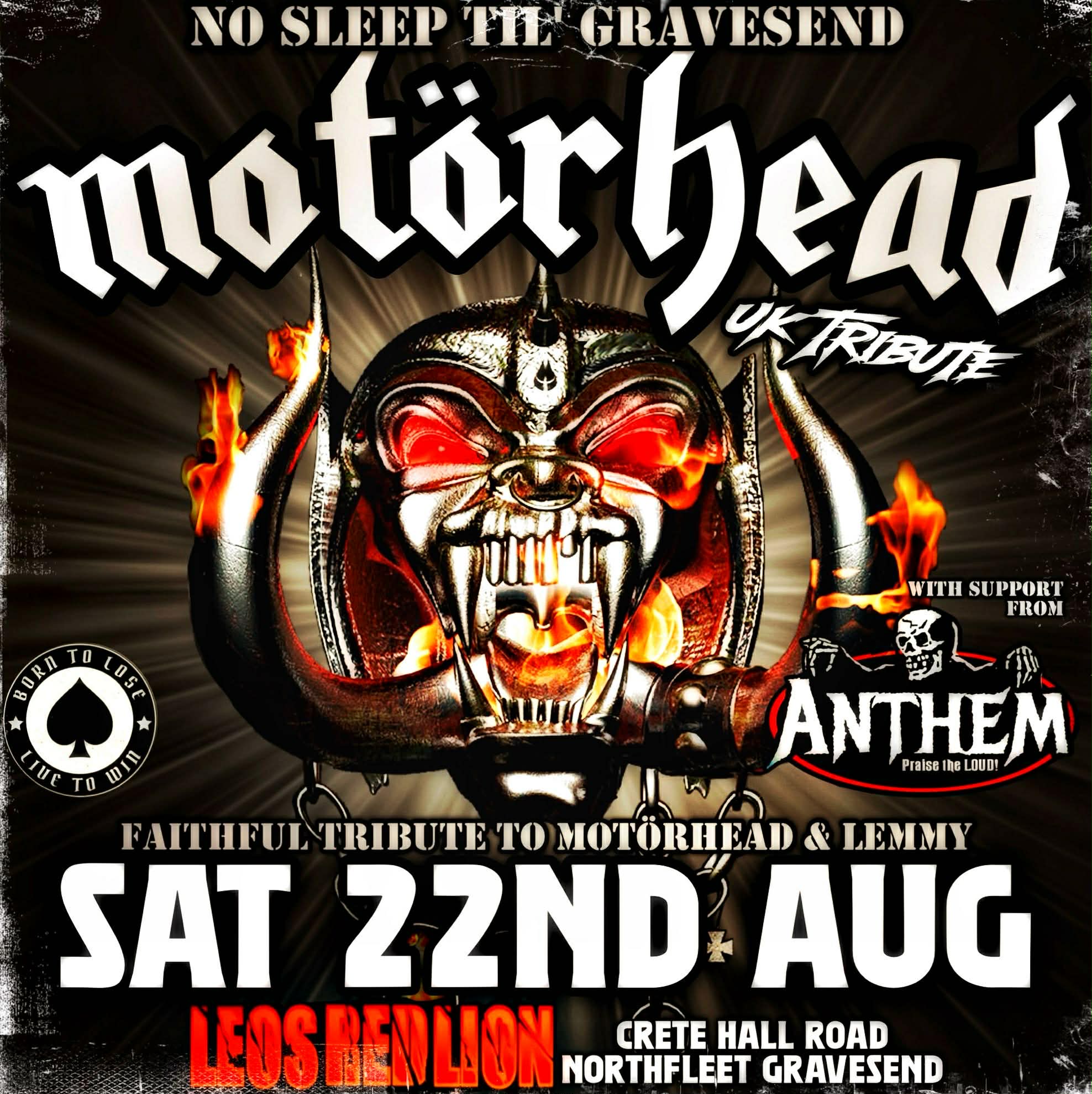 Motorhead (1)