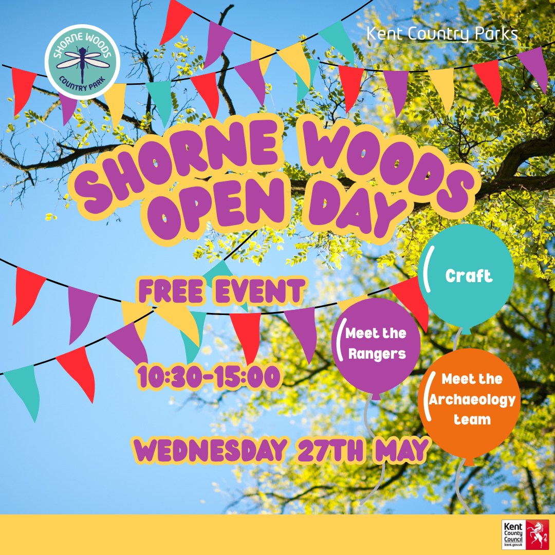 Open Day