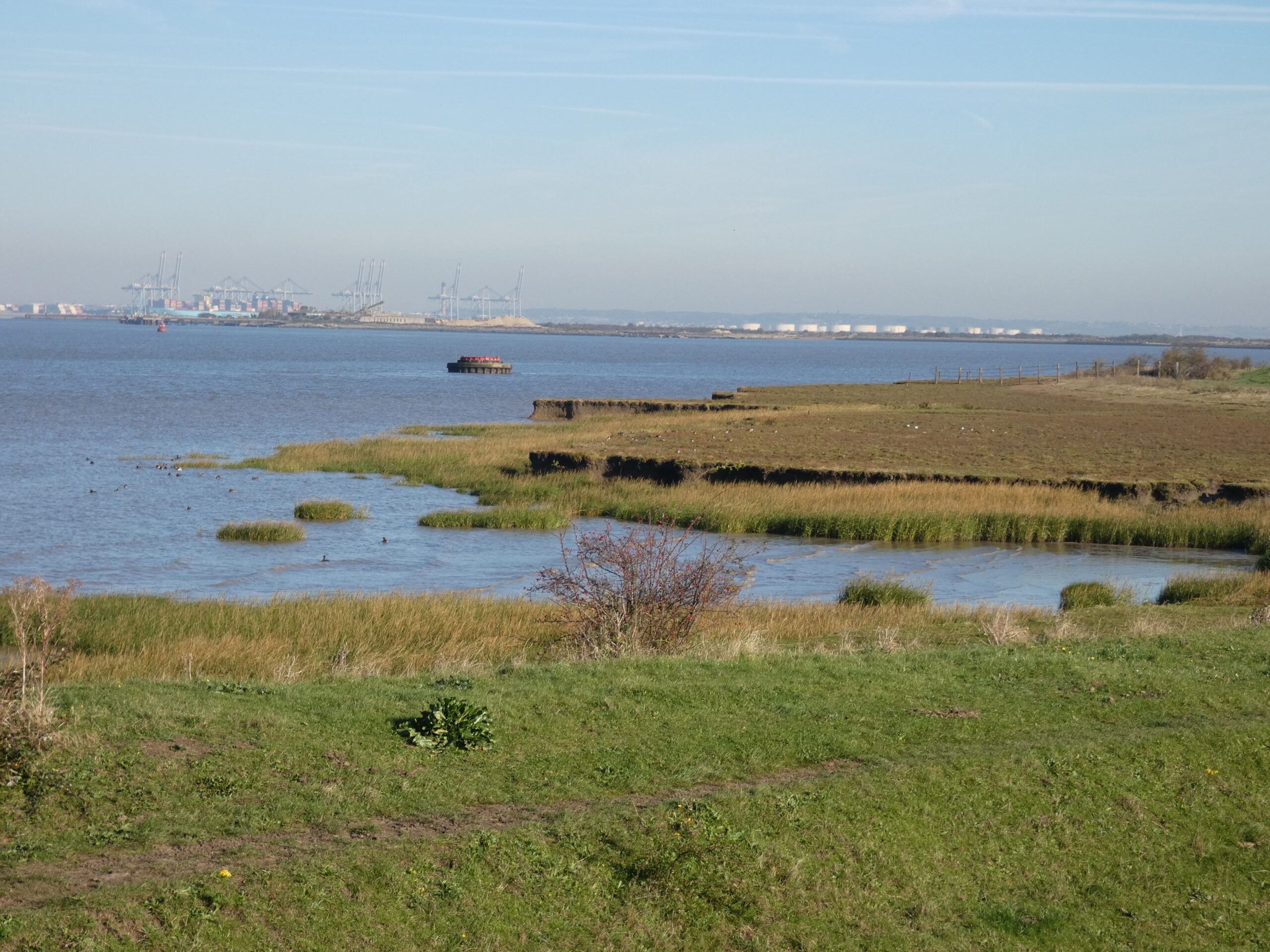 Marshes
