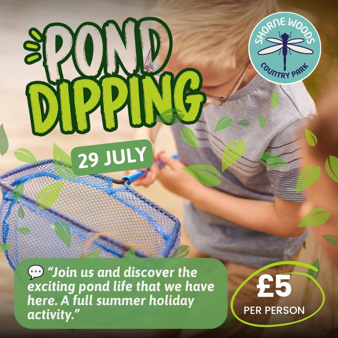 Pond Dipping